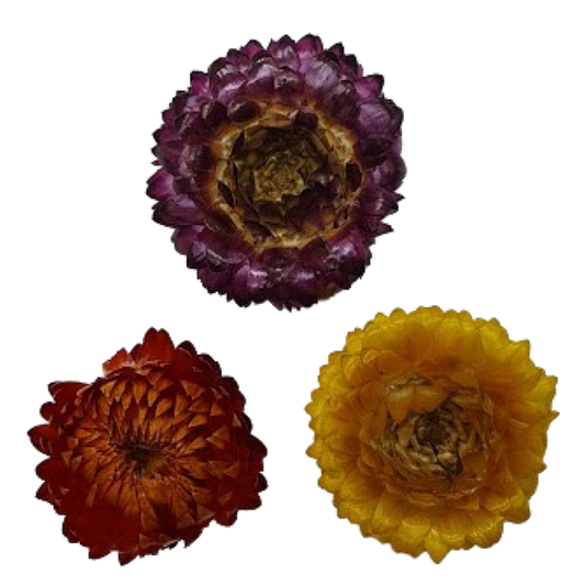 Blumen in Epoxidharz