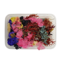 Eine Basteldeko mit FLEURY Getrocknete Blumen gemischt (ca. 10 Sorten).